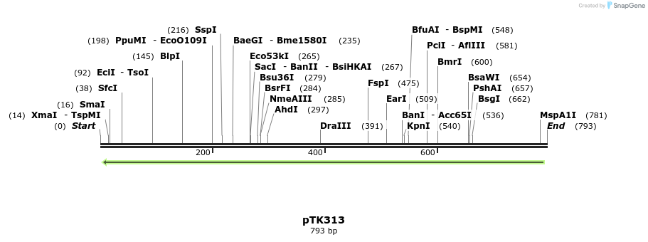 98177_map