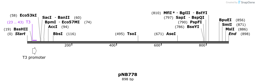 98178_map