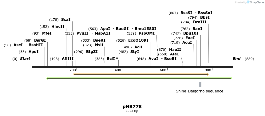 98179_map