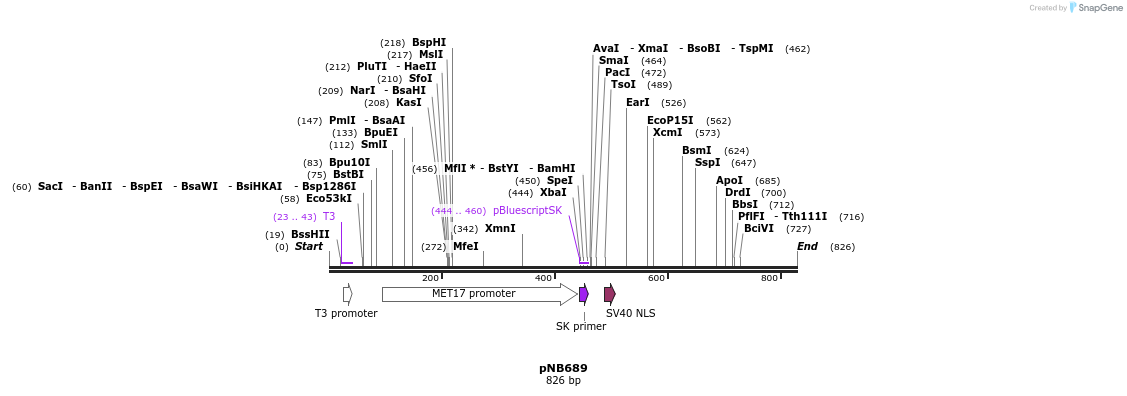98180_map