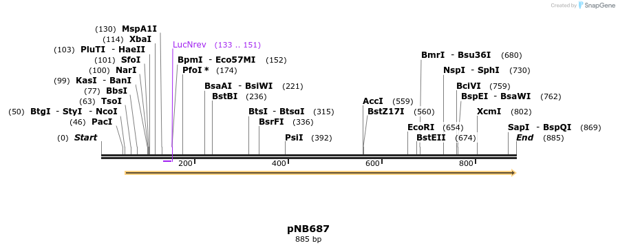 98182_map