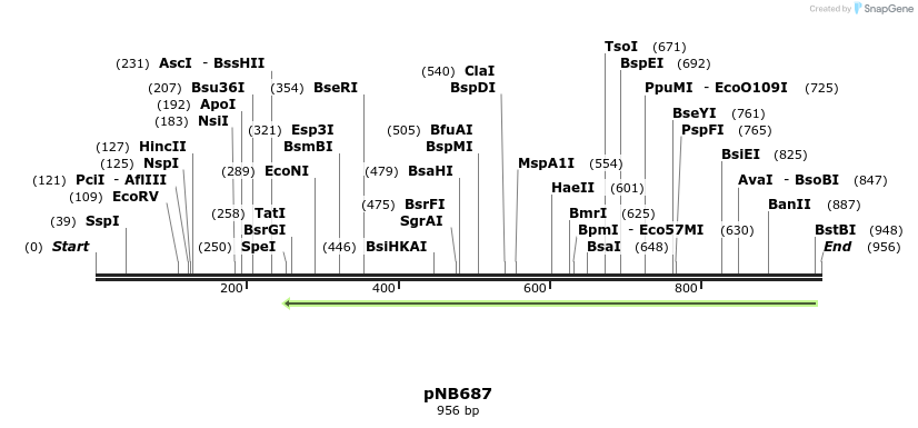 98183_map