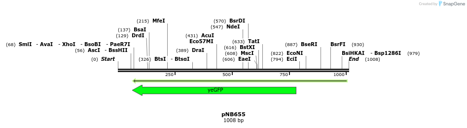 98185_map