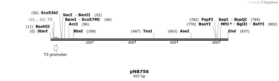 98186_map