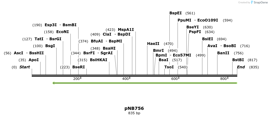 98187_map