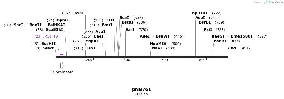 98188_map