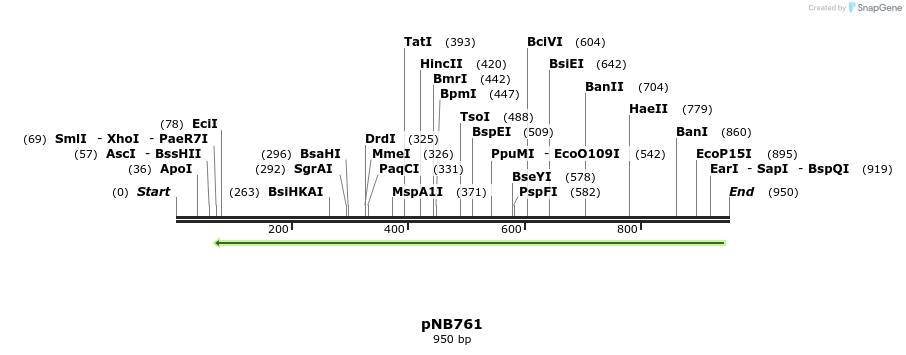 98189_map