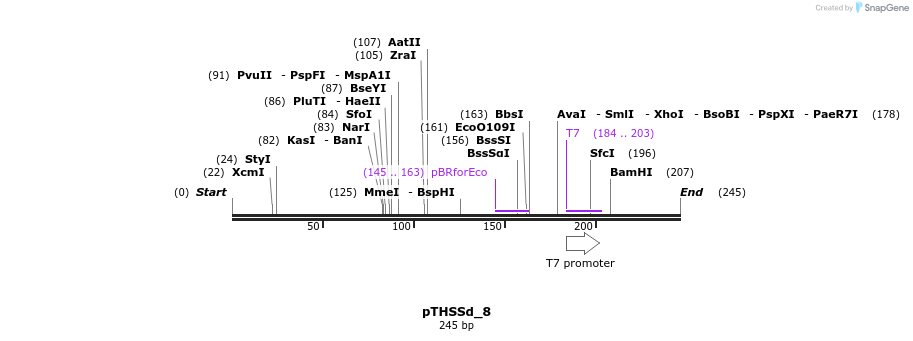 98190_map