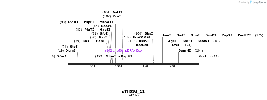 98191_map