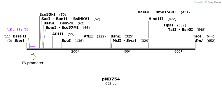 98192_map