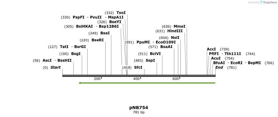98193_map