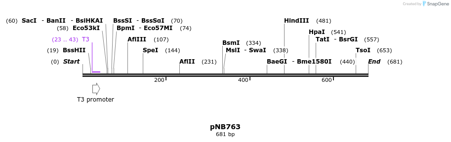 98194_map
