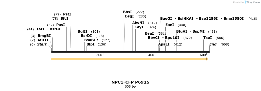 98195_map