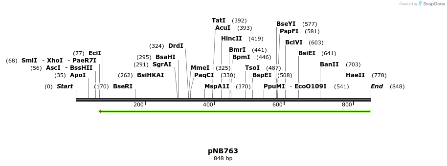 98196_map