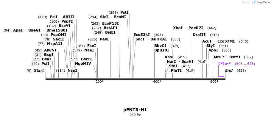 98197_map