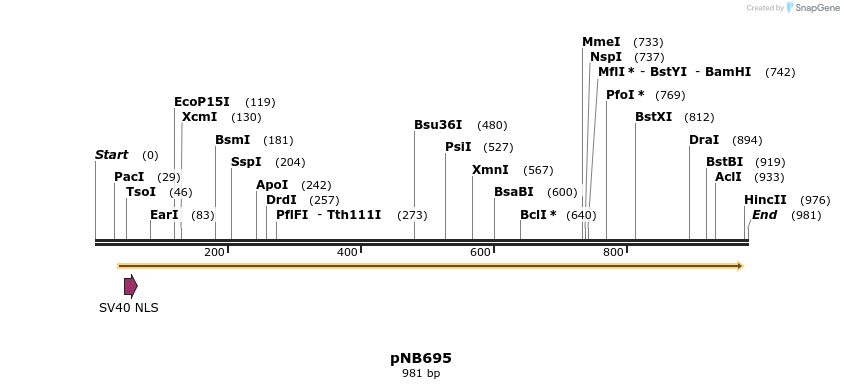 98198_map