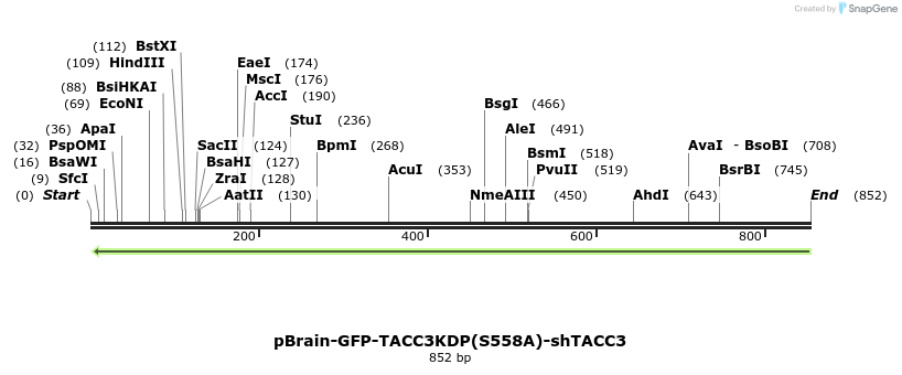 98201_map