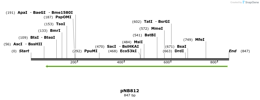 98204_map