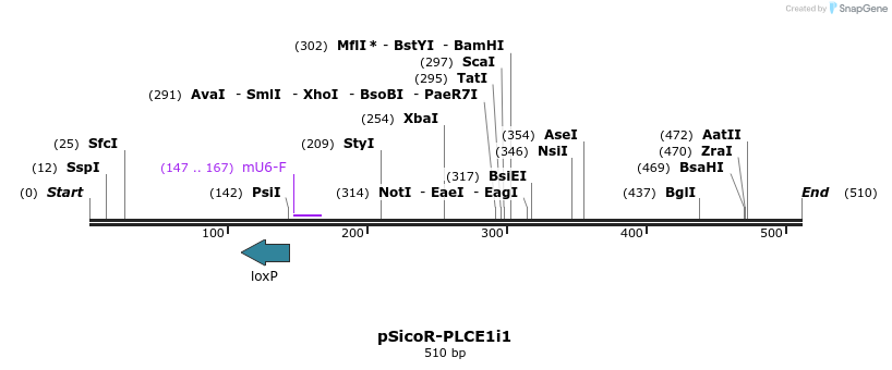 98211_map