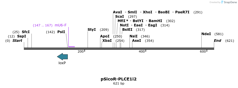 98212_map