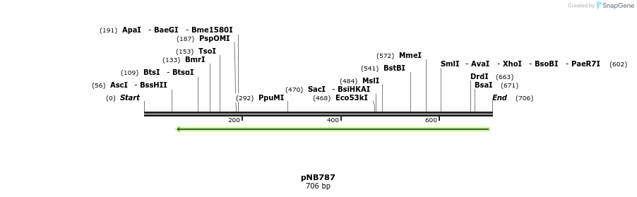 98213_map