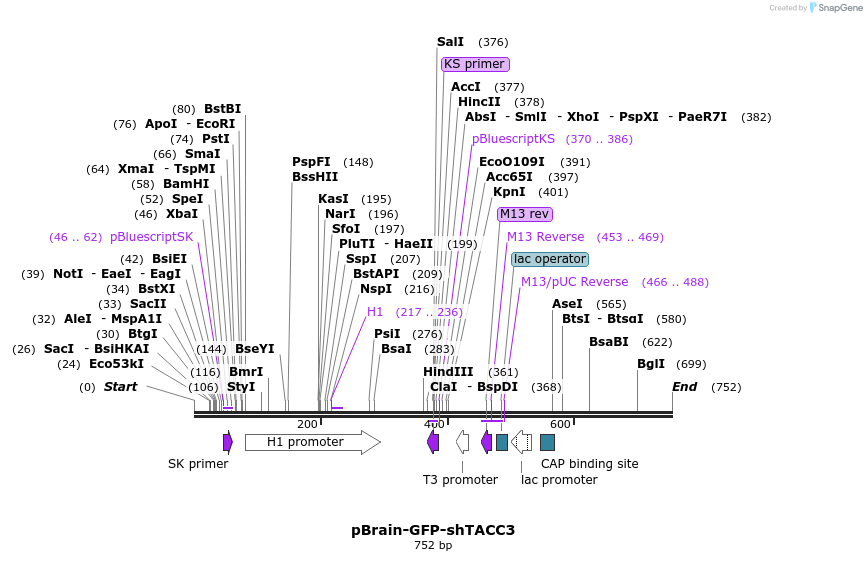 98214_map