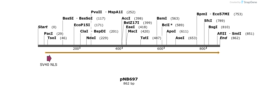 98215_map