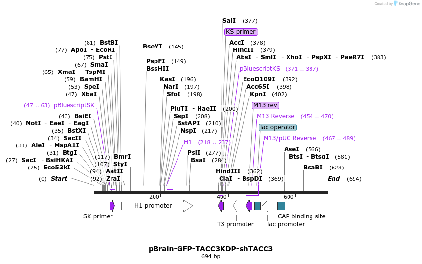 98216_map