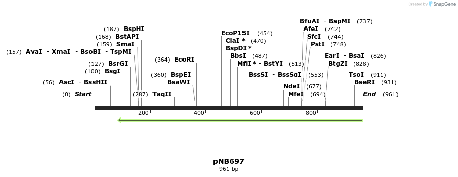 98217_map