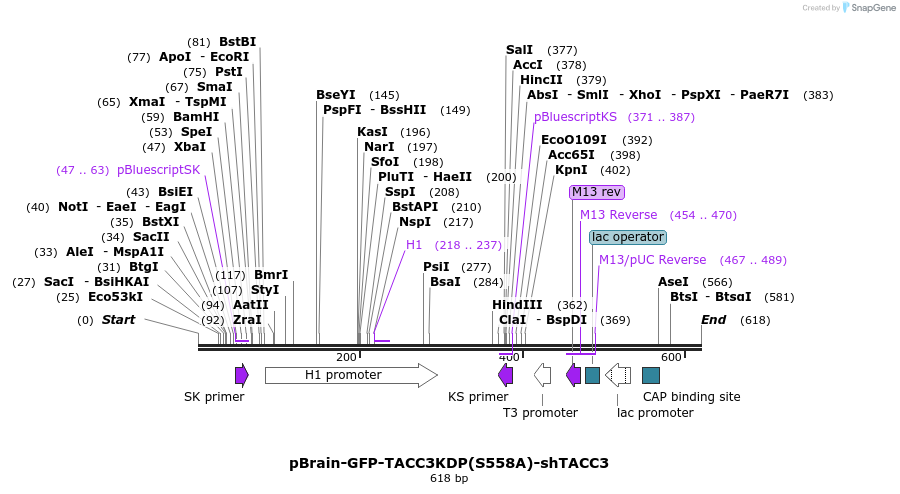 98219_map