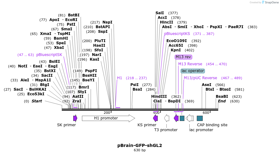 98220_map