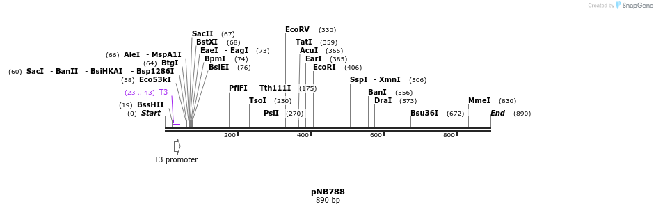 98222_map