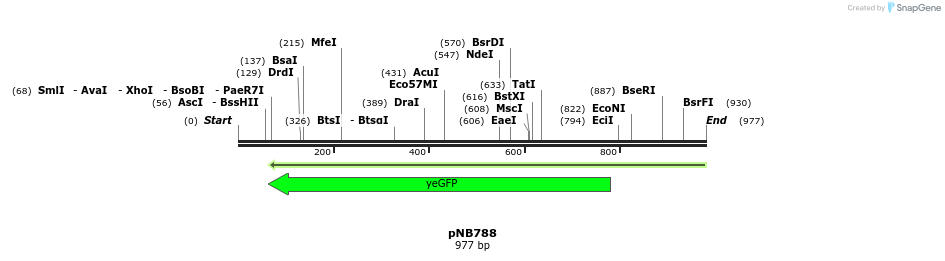 98224_map