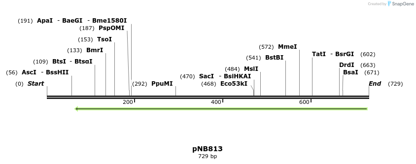 98225_map