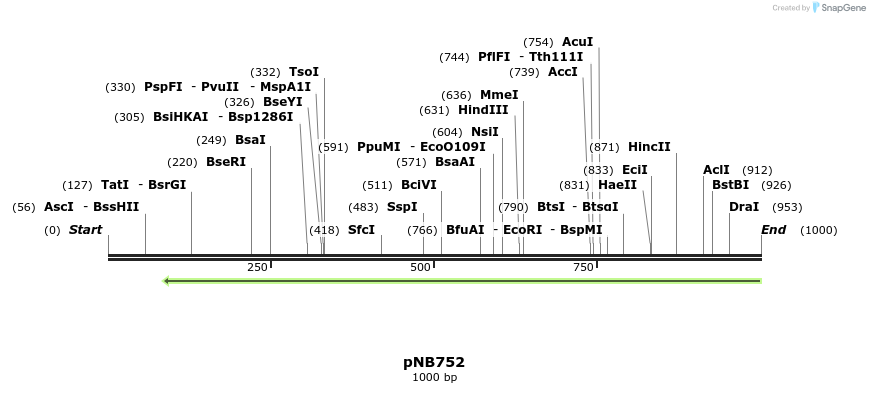 98226_map