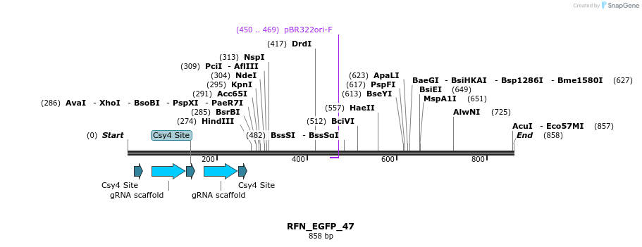 98235_map