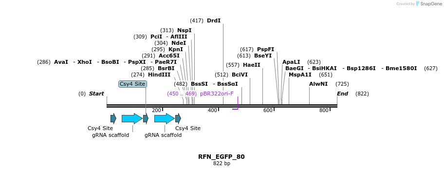 98236_map