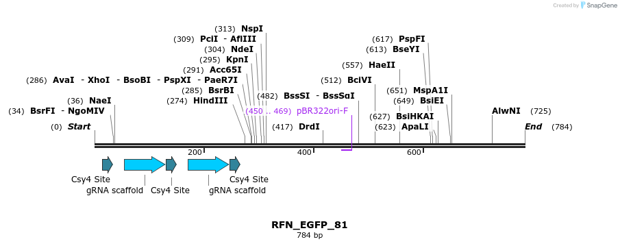 98237_map