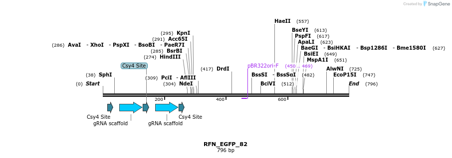 98238_map