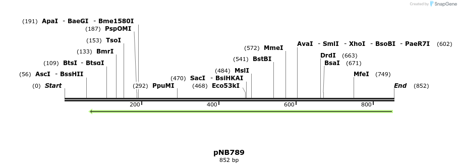 98239_map
