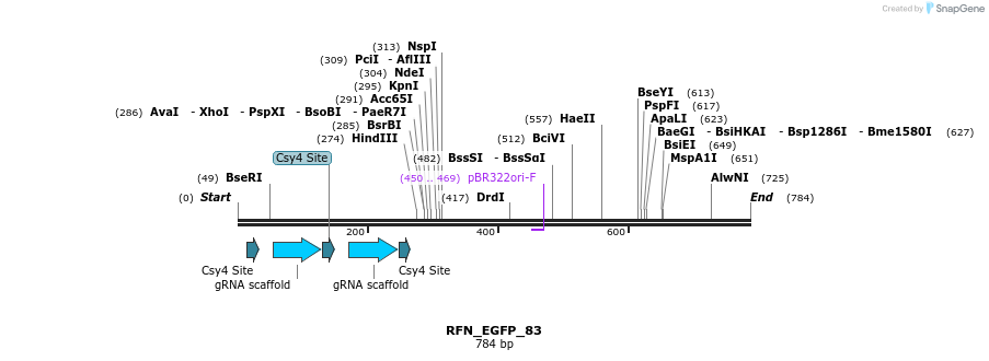 98240_map