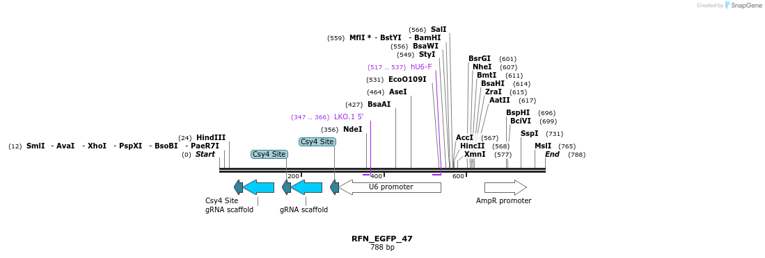 98241_map