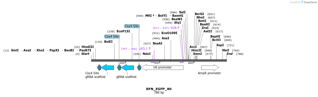 98242_map