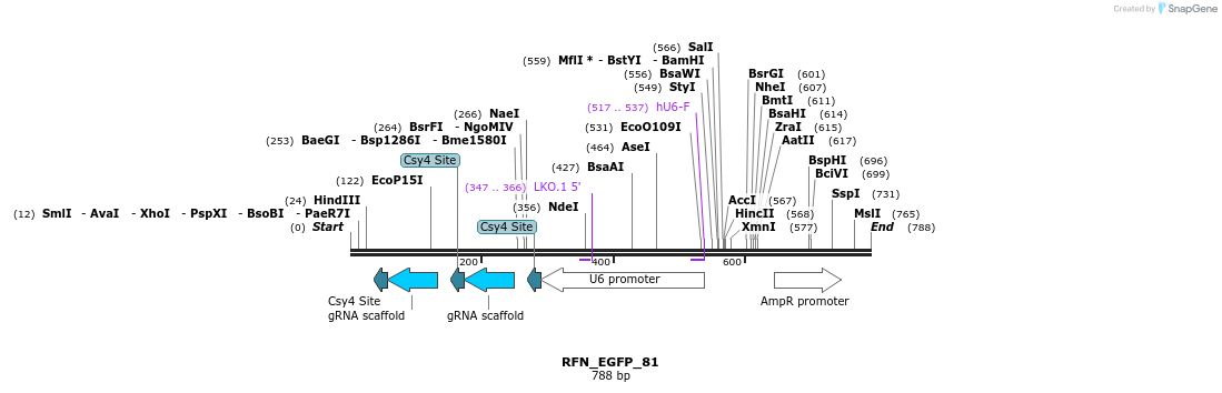 98243_map