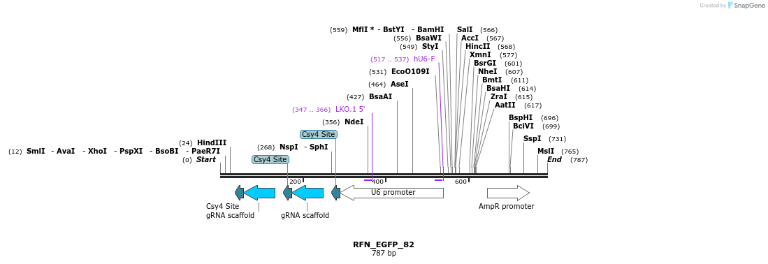 98244_map