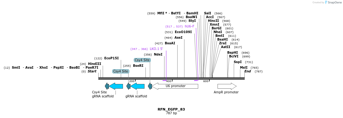 98246_map