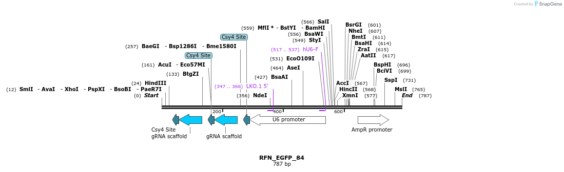 98247_map
