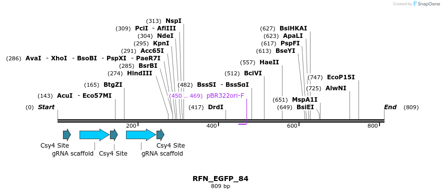98248_map