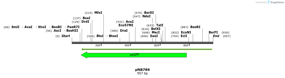 98249_map