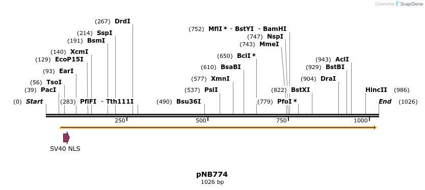 98250_map